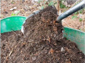 Compost