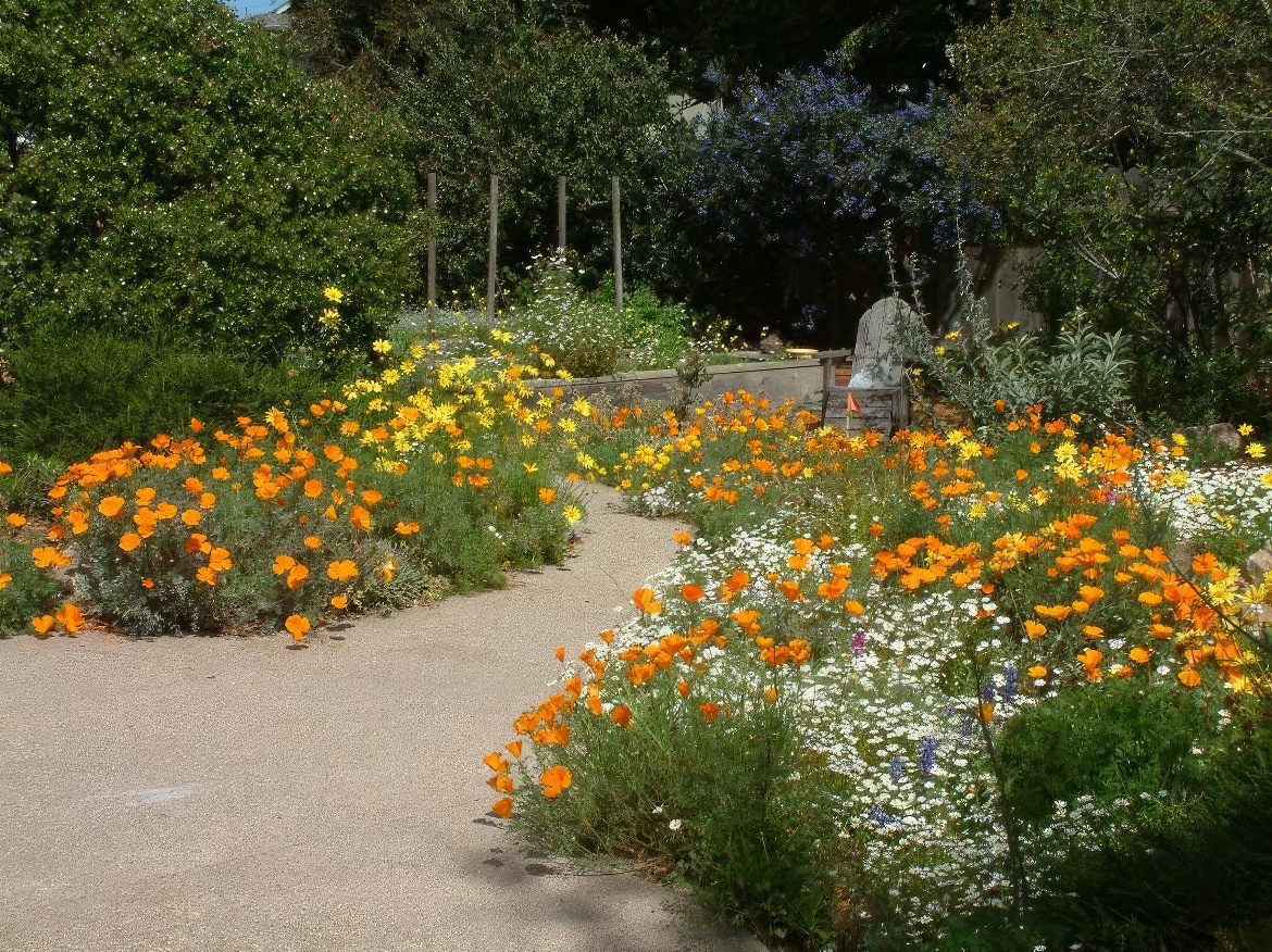 Native Cottage Garden