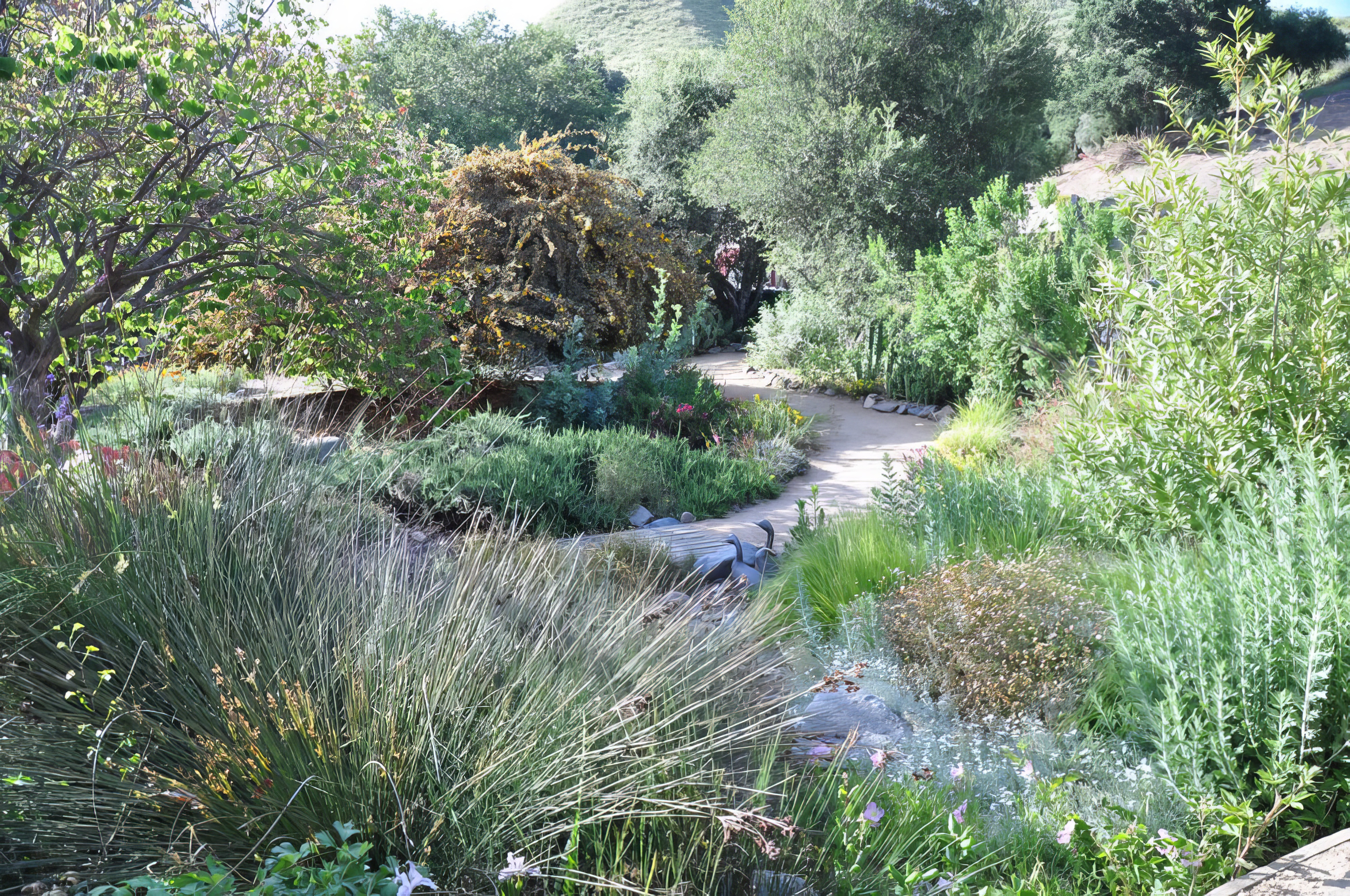 A Natural Setting