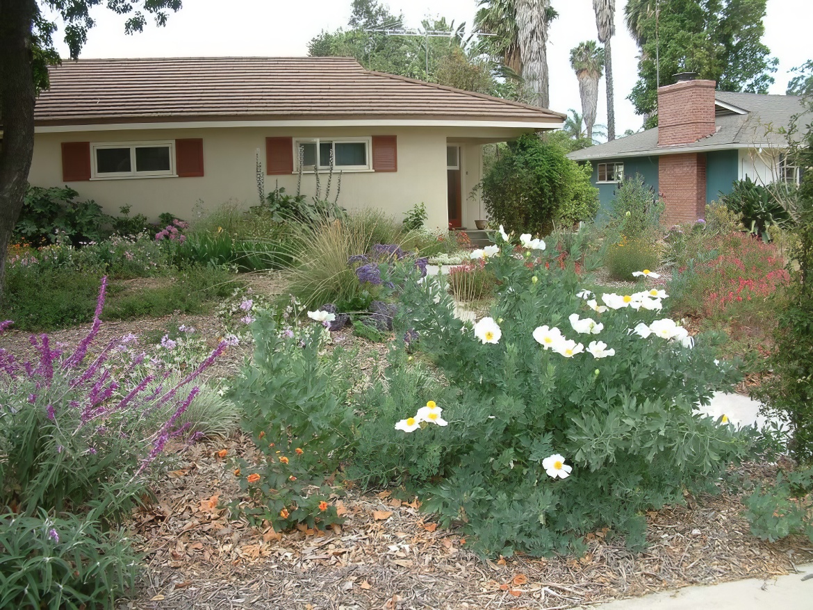 Natives in the Mulch